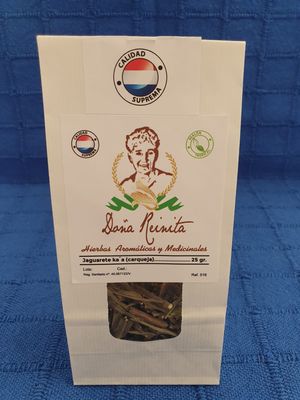 Jaguareté natural realón tropical